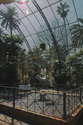 Inside the palm house