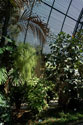 Botanic Garden