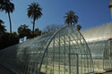 Glasshouse Botanic Gardens