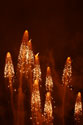 Firework Flowers