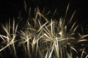 Geometric Fireworks