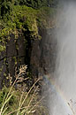 Rainbow at the Falls