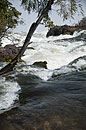 Just before the Edge of the Falls