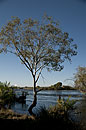 Zambezi River Portrait