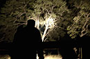 Spotlight on a Night Drive
