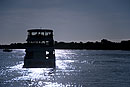 Silhouette of Zambezi Sunset Cruise