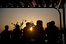Sunset Silhouettes