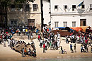 Bustling Beach Stone Town