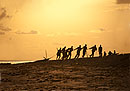 Silhouette 8 Fishermen Pulling up the Fish
