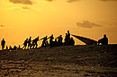 Silhouette Fishermen on Beach Zanzibar