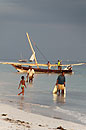 Girl Watching Fishermen Zanzibar