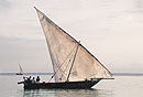 Fishing Dhow
