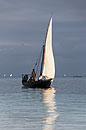 Dhow Sail Reflection