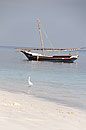 White Cormorant Dhow Zanzibar