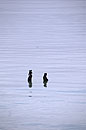 2 Zanzbari Women in Ocean