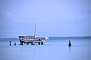 Local Women Fishing