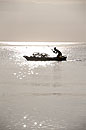 Mokoro Poler in Silhouette 