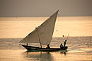 Dhow Sails at Dusk
