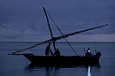 Night Fishing Dhow Boat 