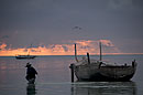 Fisherman Wading in Zanzibar