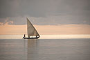 Dhow in Pink Sunset