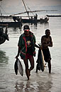 Bringing in the Catch