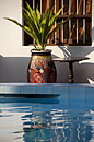 Pool and Plant Pot Zanzibar