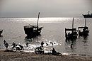 Boys Playing on Dhow's  