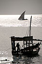 Boys Diving off Dhow Stone Town