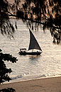 Dhow Stone Town Zanzibar