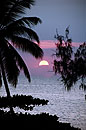 Pink Sunset Stone Town