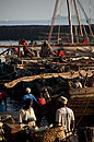 Colourful Fish Market Stone Town