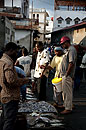 Colourful Fish Market Stone Town