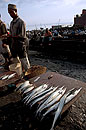 Fish Market Stone Town