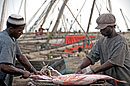 Colourful Fish Market Stone Town