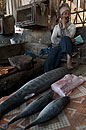 Fish Market Display Zanzibar