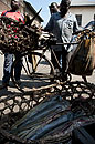 Buyers with Bikes at Fish Market