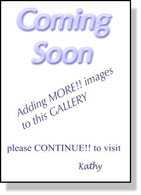 *More Coming Soon*
